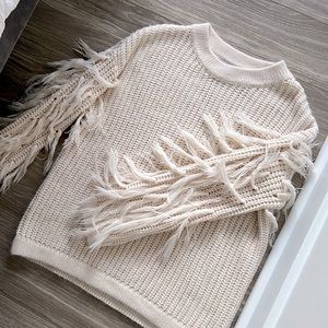 VICI Collection Fringe Knit Sweater